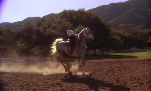 Horúce strely (1991) cz dabing mp4