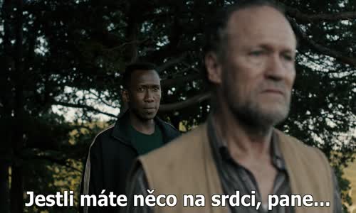 True detective S03E08 - CZ tit avi