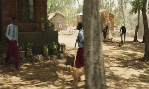 the boy who harnessed the wind 2019 720p webrip x264-strife mkv