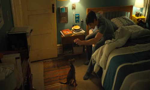 Psí domov - A Dog's Way Home 2019 480p BluRay CZ dabing 5 1 avi