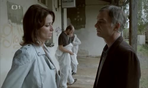 Vraždy v kruhu - 12 Na nejvyšší úrovni (2015) AC3 Cz avi