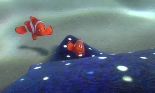 Hledá se Nemo avi