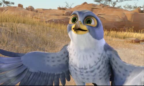 Zambezia cz  avi