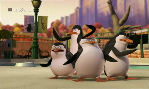Tučňáci z Madagaskaru S01E46 Zamilovaný Skipper avi