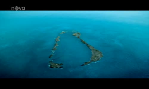 Aldabra - Byl jednou jeden ostrov avi