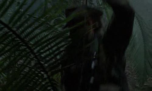 Predator 1-1987 - CZ (A) avi