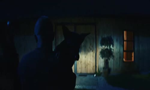 Underdog (2019) [DVDRip] [XviD-NN] [Film Polski] avi