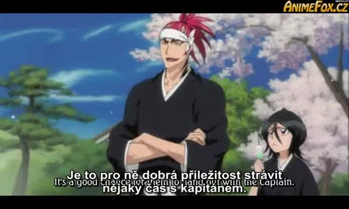 Bleach 256 avi