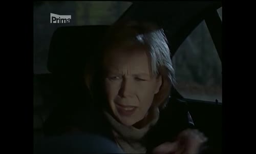 Komisař Siska - 2x06 Soňa a její kamarád (TVRip-Cz SS23) avi