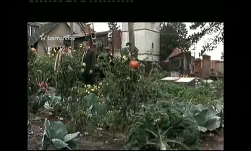 Komisař Maigret (Cremer) - 30 Mrtvý tulák (TVRip-Cz SS23) avi