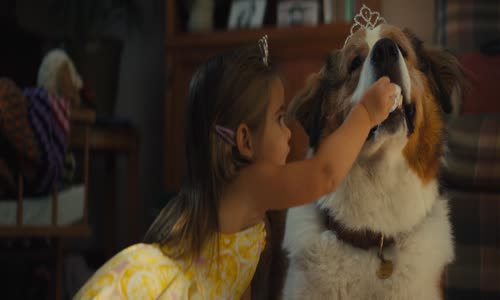 Psi poslani 2 - A Dogs Journey 2019 1080p CZ Dabing mkv