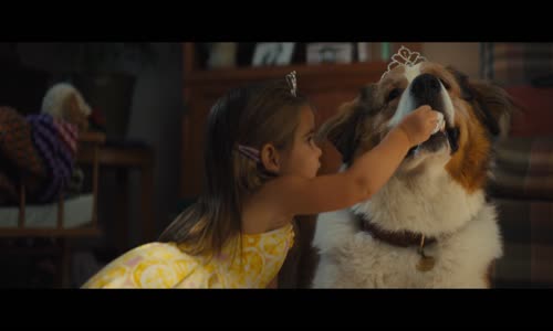 Psí poslání 2 - A Dogs Journey (2019) 1080p x264 CZ dabing mkv