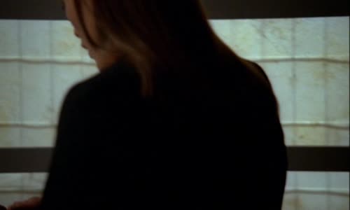 Alias S02E05 - Ukazatel avi