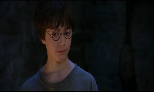 Harry Potter a Kámen mudrců 1 díl (2001) CZ-dabing avi