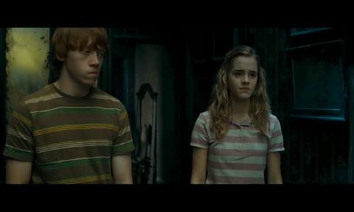 Harry Potter a Fénixov rád (2007, SK dabing) byFilip avi
