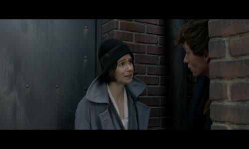 Fantastická zvířata a kde je najít -  Fantastic Beasts and Where to Find Them (2016) GB Dobr Cz dab DvdRip mkv