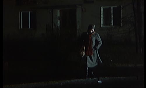 Jak vytrhnout velrybě stoličku 1977 CZ DVDrip mkv