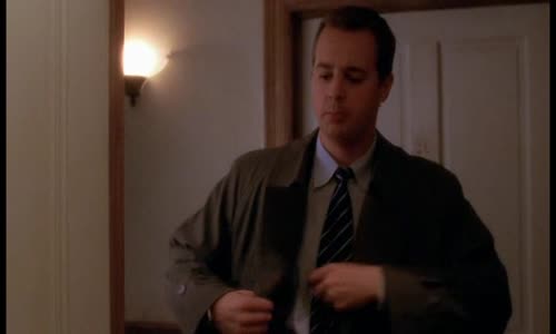 NCIS  - 02x14 Svědek CZ dab avi