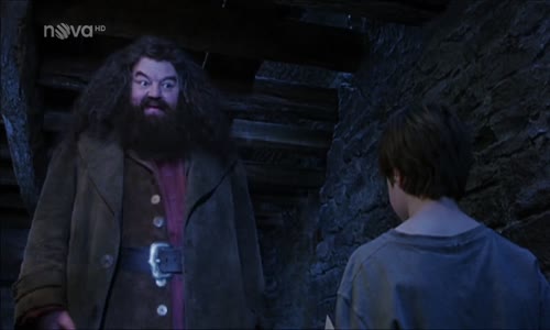 Harry Potter a kámen mudrců ~ (2001) HD cz mkv