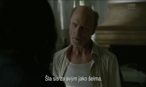 Westworld S03E04 720p + CZ titulky avi