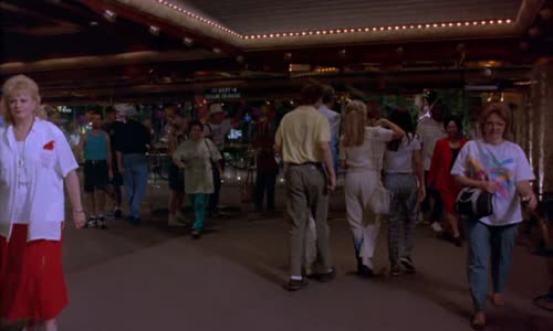 Bláznivá dovolená v Las Vegas - Vegas Vacation (1997) USA Komedie Cz dab DvdRip )16 9) avi