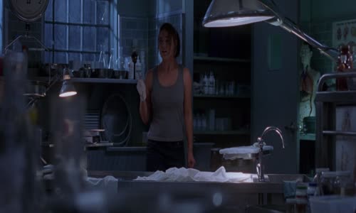 Valentine 2001 1080p BluRay x264 AC3 2 0 CZ EN EN a CZ Dabing mkv
