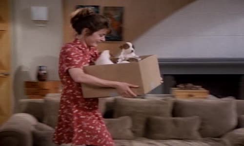 Frasier_02x02_Ňedela_v_parku_s_Edi m avi