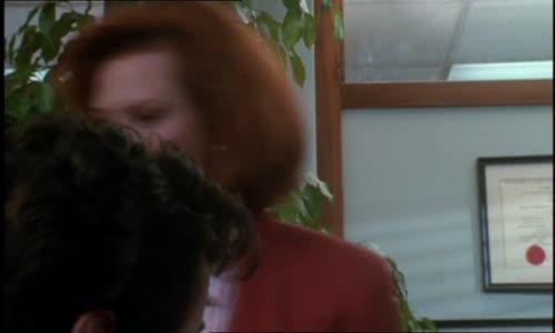 Stůj,nebo maminka vystřelí-(1992) Stallone-cz dabing cz avi avi