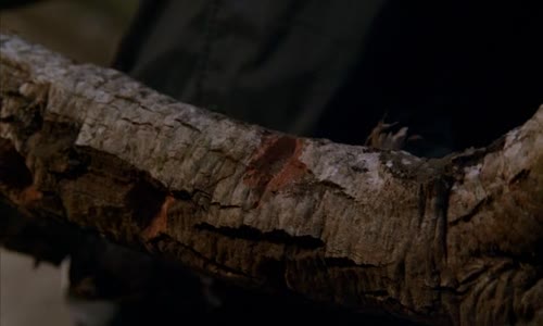Castle na zabiti S02x24 - Smrtelná hra avi