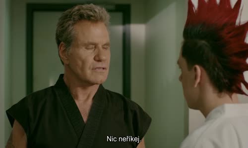 Cobra Kai - S02E06, 2019, cz titulky avi