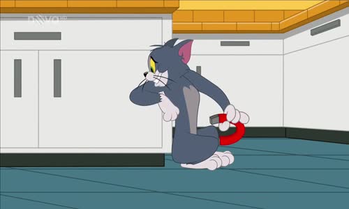 Show Toma a Jerryho S02E14 - Slečna na hlídání - Tajný ctitel - Past na Jerryho mkv