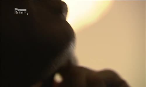 Smrtelný úder CZ dabing-Akční-Thriller-novinka na Ulož to avi