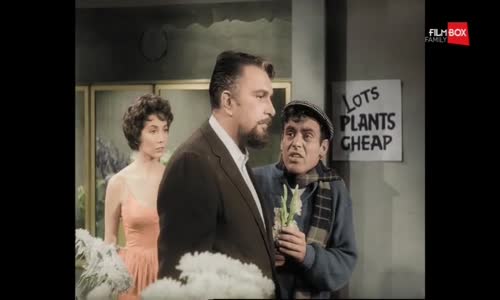 Maly obchod hruz - The Little Shop of Horrors 1960 HDTV CZ dabing mkv