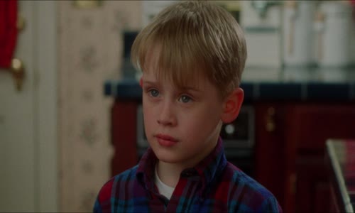 Sam doma 1-Home Alone(1990) 1080p CZ SK mkv