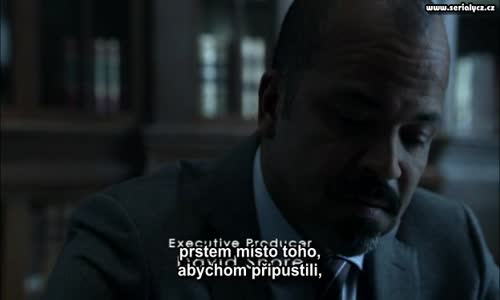 Dr  House S08E11 - Nobody´s fault ENdub CZtit avi