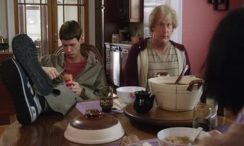 Blbý a blbší sú späť (Dumb and Dumber To) (2014) CZ avi