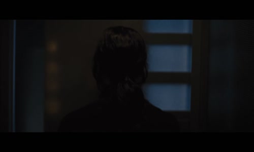 Hunger Games 2 - Vrazedna pomsta (2013) mkv