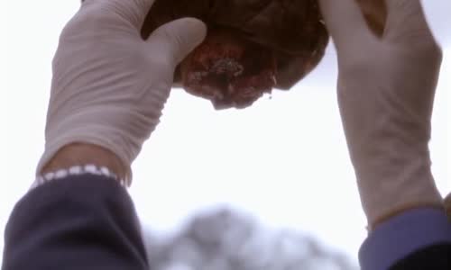 NCIS S07E09 Dětská hra mkv