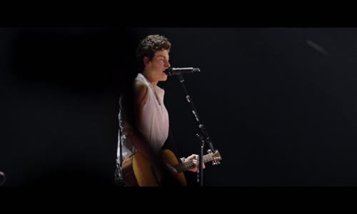 Shawn Mendes Live in Concert 2020 Koncert 1080p mkv
