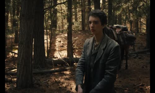 Slow West (2015) [1080p] [BRRip] [XviD] [AC3-Norman] [Lektor PL] avi