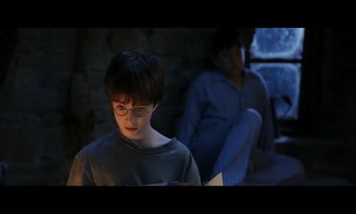 Harry Potter 1 a Kámen mudrců CZ dabing (2001) avi
