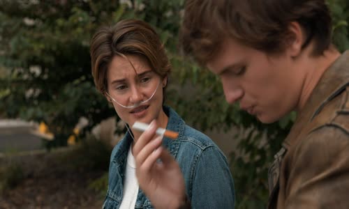 Na vine sú hviezdy, Hvězdy nám nepřály (The Fault in Our Stars) (2014) SK mkv