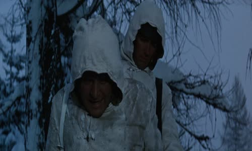 Where Eagles Dare = Kam Orli Nelétají [1968] 1080P HEVC - CZ dabing mkv