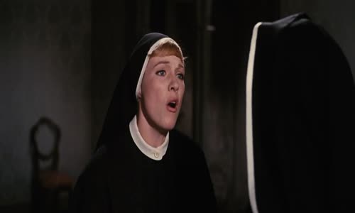 The Sound Of Music 1965 (Za zvuků hudby) CZ, CZ tit  2021 mkv