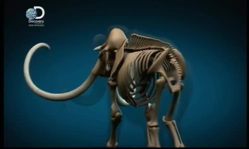 Expedice do neznama 03x05 - Klonovani mamuta - Obrovske zvire mkv