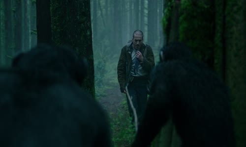 Dawn of the Planet of the Apes 2014 (Usvit planety opic)Brip Cz,Eng+titulky mkv