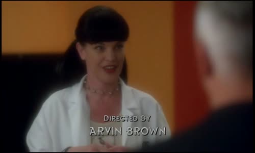 NCIS S10E05 Jmenovec (SD) avi