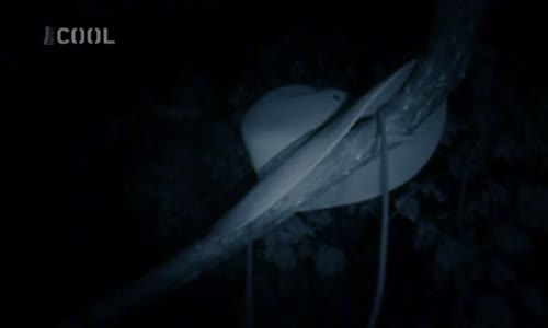 Kdo přežije S08E08 Návrat hvězd CZ avi