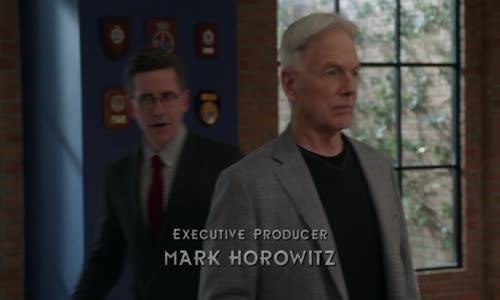 NCIS 17x16-Stará láska  avi