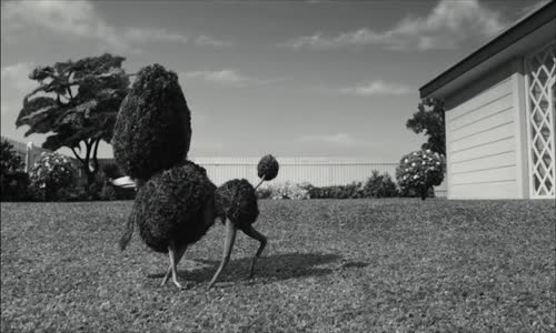 Frankenweenie Domácí Mazlíček 2013 BRRip CZ dabing avi